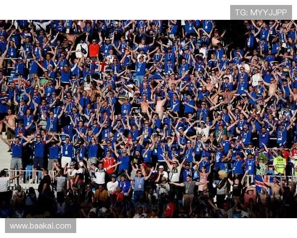 马奎尔冰岛极光卡塞米罗迈阿密